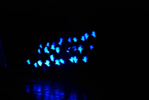 DSC_0265_480x321