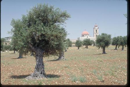 Bethlehem.__ng_c__ch_n_chin__nh_th_