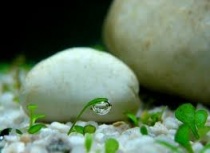 Ngày 8 - Vấn Đề Tình Dục Vô Luân