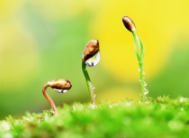 Ngày 23 - Đức Chúa Trời Giúp Họ Đổi Mới