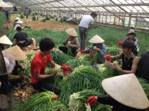 "Cánh Tay Giúp Đỡ" và Những Con Người Được Cứu