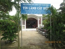 Định Hướng Phát Triển Điểm Nhóm Cây Điều (Chi Hội Bạc Liêu)