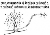 Ngày 28 - Cái Sừng Tự Mọc Lên