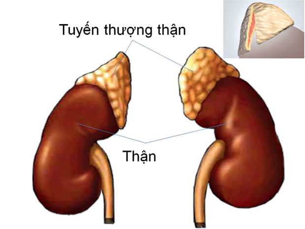 VƯỢT QUA KHỦNG HOẢNG BỞI HUYẾT BÁU CỦA CHÚA