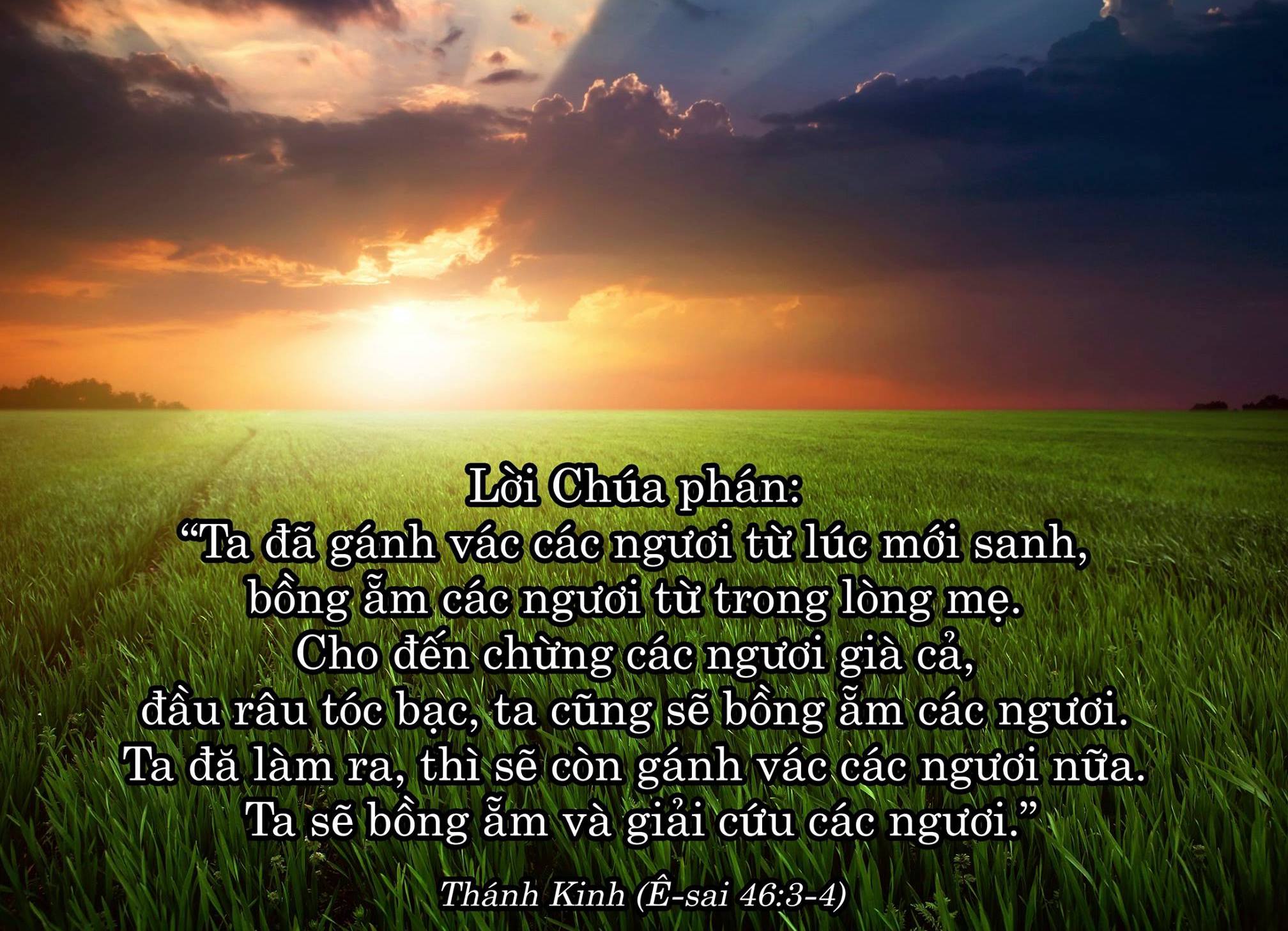 Cập Nhật Thông Tin Cần Cầu Thay Về Mục Sư Lê Nguyên Tâm.