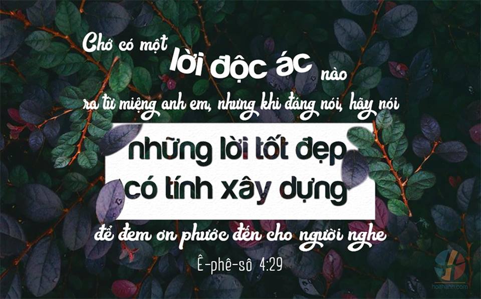 Chớ Để Mình Mắc Bẫy Bởi Tội Lỗi Của Môi Miệng