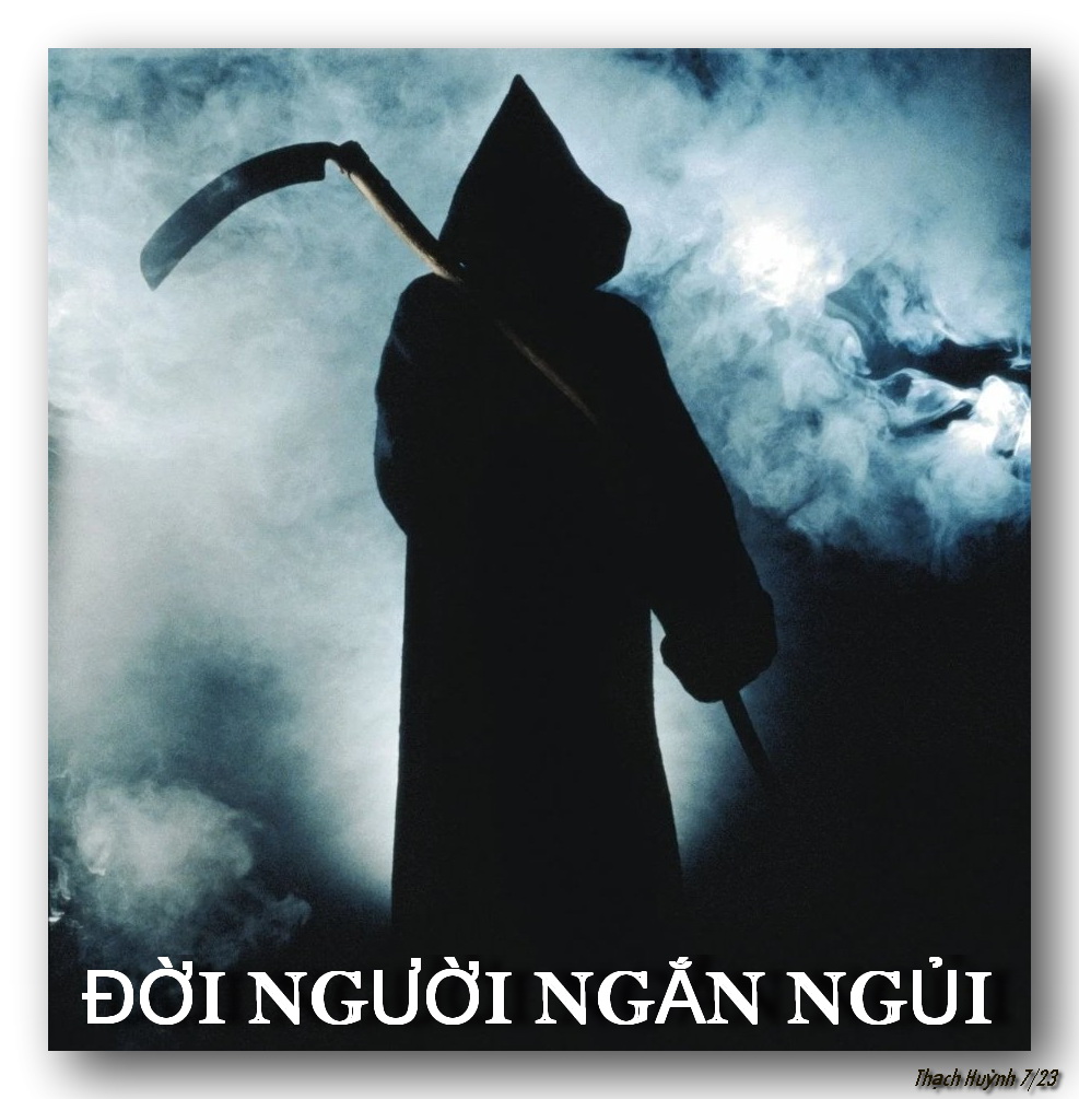 ĐỜI NGƯỜI NGẮN NGỦI