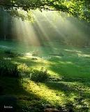 light2