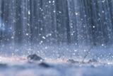 rain
