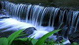 Ngày 16 - Lời Tiên Tri Thứ Nhất Của Ba-la-am