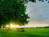 Ngày 15 - Con Đường Của Ba-la-am Bị Ngăn Chặn