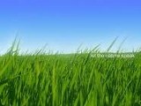 Ngày 22 - Sản Nghiệp Của Những Người Không Có Con Trai