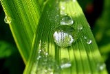 Ngày 09 - Thanh Tẩy Khỏi Tội Lỗi