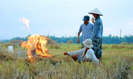 DSC_00010-copy_448x269