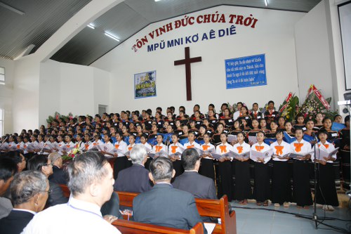 _MG_1002_500x333