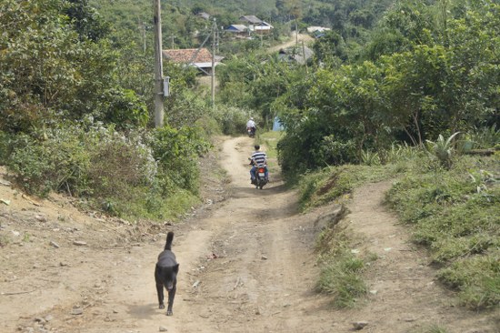 duong_di_550x366