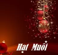 Đón Đọc Tạp Chí Hạt Muối Giáng Sinh 2012