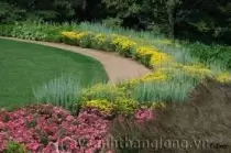 Ngày 16 - Giô-Tham Đã Bước Đi Trong Đường Lối Ngay Thẳng