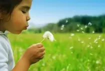 Tôi Không Bao Giờ Chúc Ai