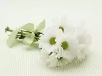 Ngày 28 – Y-Sác Qua Đời