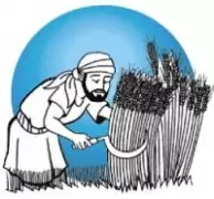 Ngày 11 – Ẩn Dụ Về Cái Đèn, Hạt Giống Và Hạt Cải