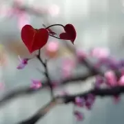 Xuân Yêu Thương