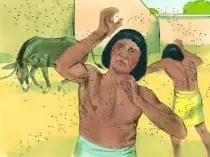 Ngày 08 – Tai Vạ Muỗi Mắt Và Tai Vạ Ruồi Mòng