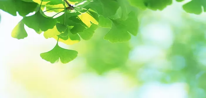 Ngày 13 - Hãy Chấp Nhận Sự Khôn Ngoan, Hãy Chấp Nhận Kỷ Luật