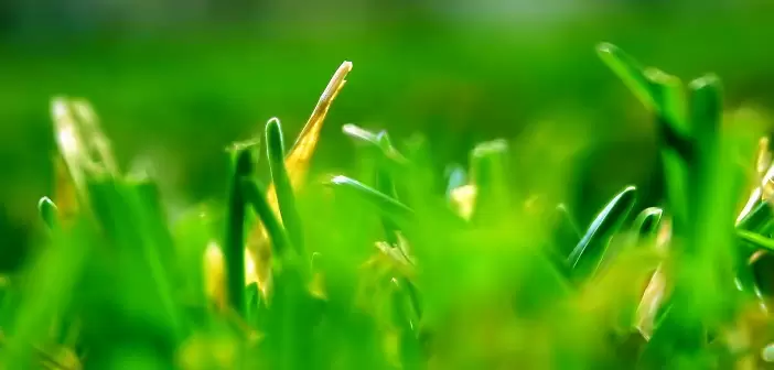 Ngày 01 - Hy Vọng Sống, Cơ Nghiệp Và Sự Cứu Rỗi