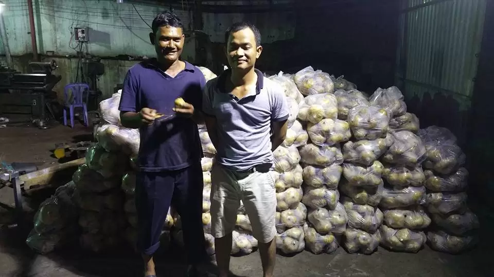 Tín Hữu Sắc Tộc Stiêng Điêu Đứng Trước 100 Tấn Củ Sắn Khó Tiêu Thụ