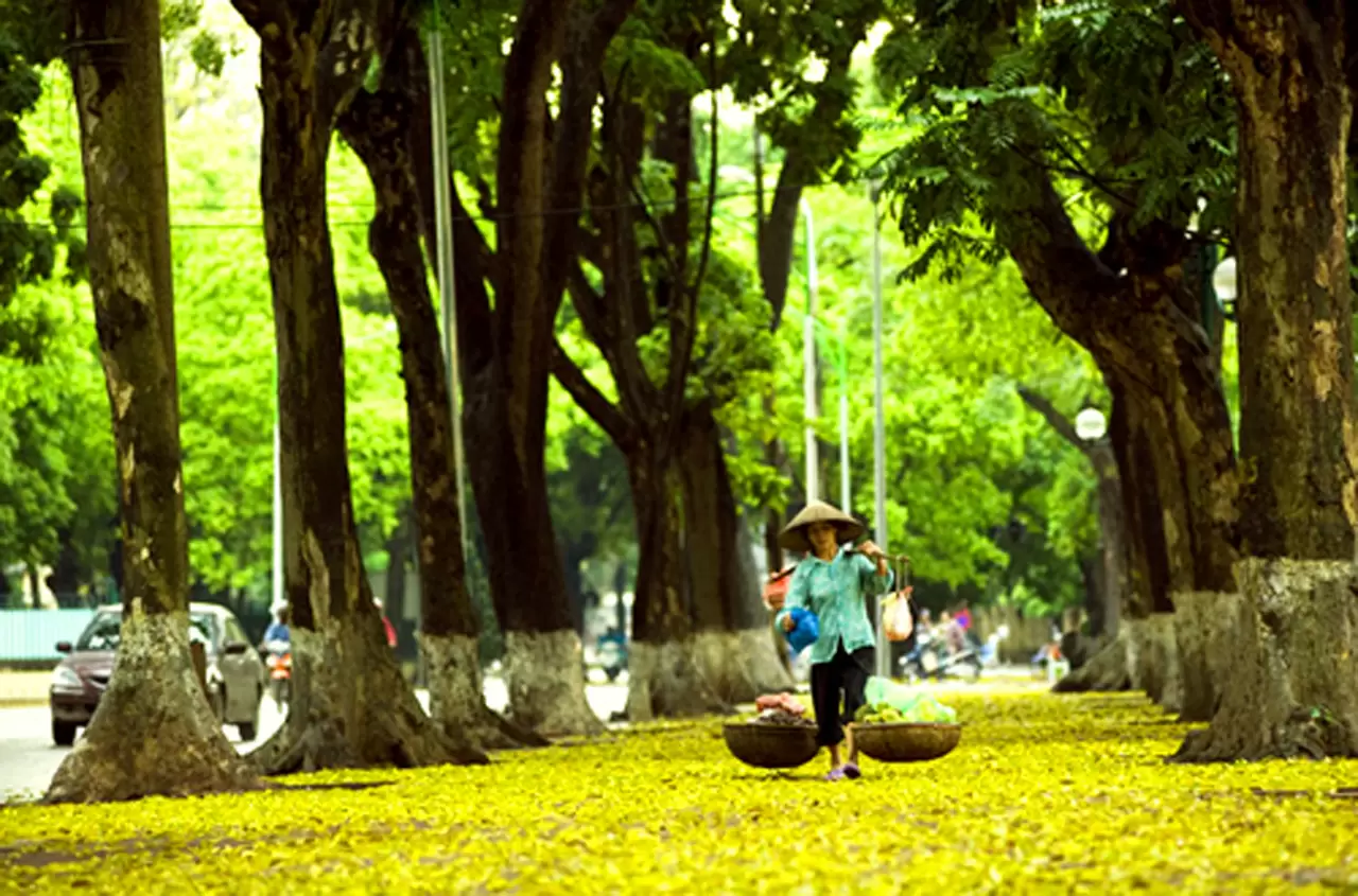 Hồn Thu