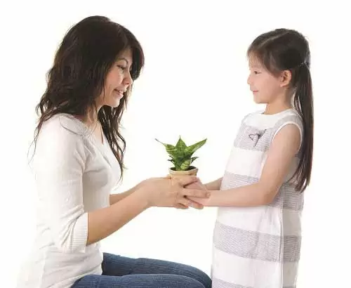 Gieo Những Hạt Đậu - Gieo Lời Chúa - Cầu Nguyện Cùng Con Trước Giờ Ngủ