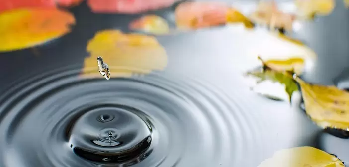 Ngày 30 - Qua Lời Chúa Và Sự Cầu Nguyện Ở Mọi Nơi