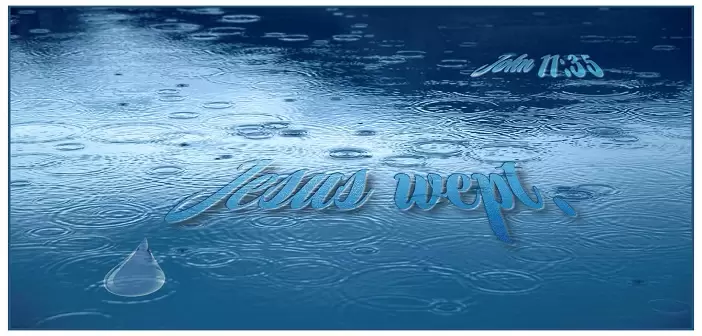 Ngày 14 - Đức Chúa Jêsus Khóc