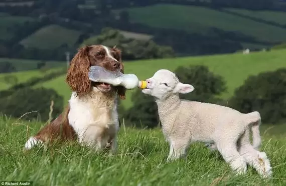 Biến Thù Thành Bạn