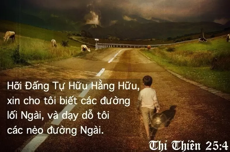 XIN CHA BAN CHO CHÚNG CON SỰ DẪN DẮT