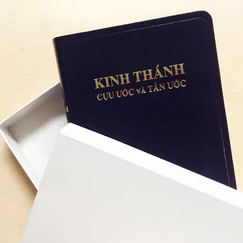 Kinh Thánh: Tác Phẩm Văn Hóa Vô Giá Của Nhân Loại