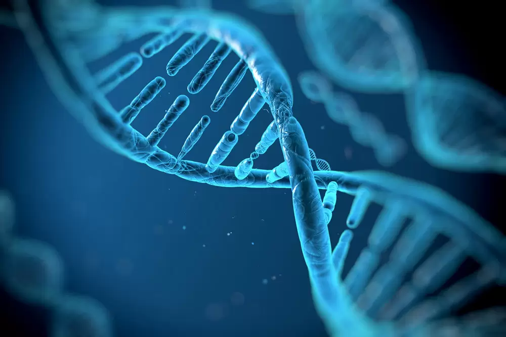 EVOLUTION 2.0 PRIZE – Giải thưởng 5 triệu USD cho thuyết tiến hóa - Phần 3: Ai Đã Viết Ra Mã DNA