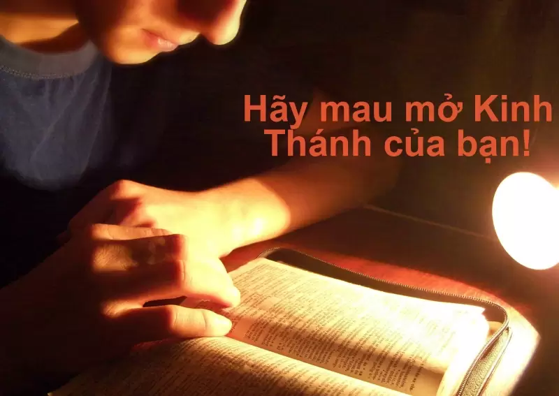 76 Câu Kinh Thánh Giúp Bạn Biết Mình Là Ai Trong Đấng Christ