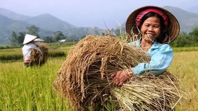 Lịch Sử Truyền Giáo: Phụ Nữ Trong Cánh Đồng Truyền Giáo