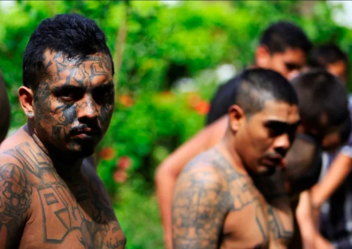 Quyền Năng Lạ Lùng của Chúa Trên Những Tay Anh Chị Trong Băng Đảng ở El Salvador