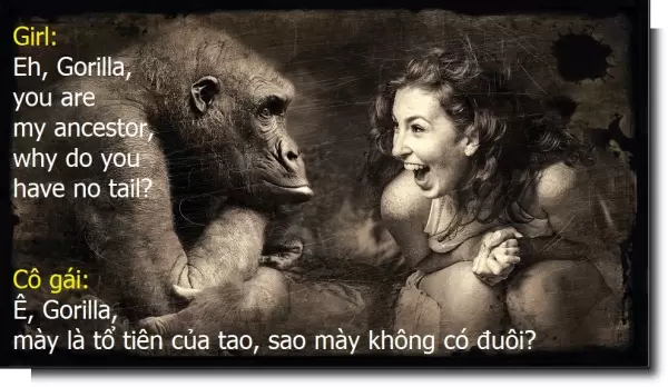 Tại Sao Người Không Có Đuôi? - Phần 1: Các hình vẽ giả tạo của Haeckel