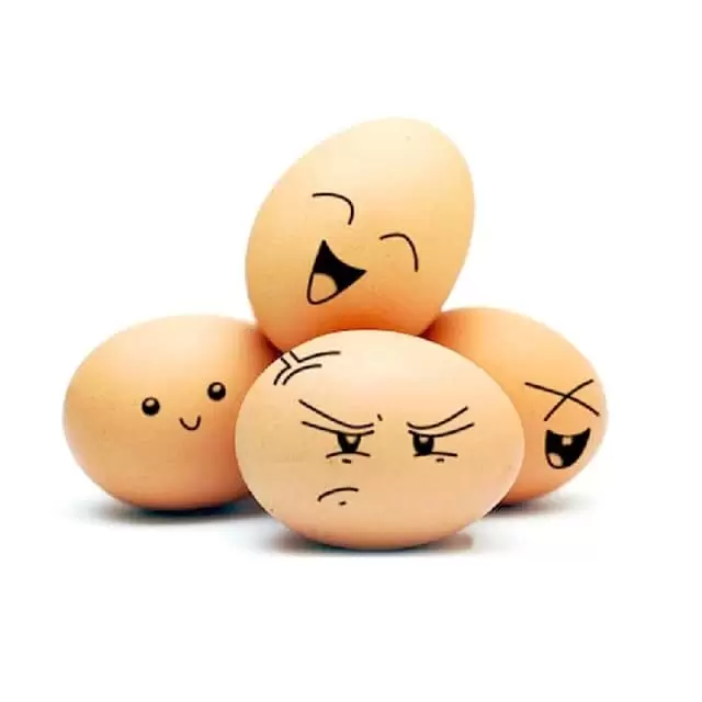 Cảm Xúc Là Món Quà Từ Chúa Và Ngài Muốn Bạn Thờ Phượng Ngài Trọn Cảm Xúc