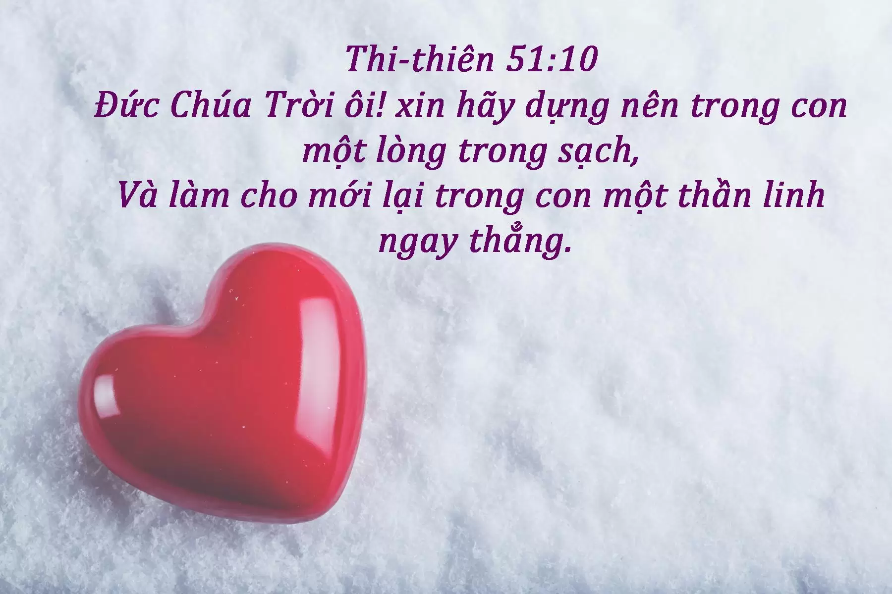 Ngày 15: Cầu Nguyện Cho Con Sống Thánh Khiết Và Trong Sạch