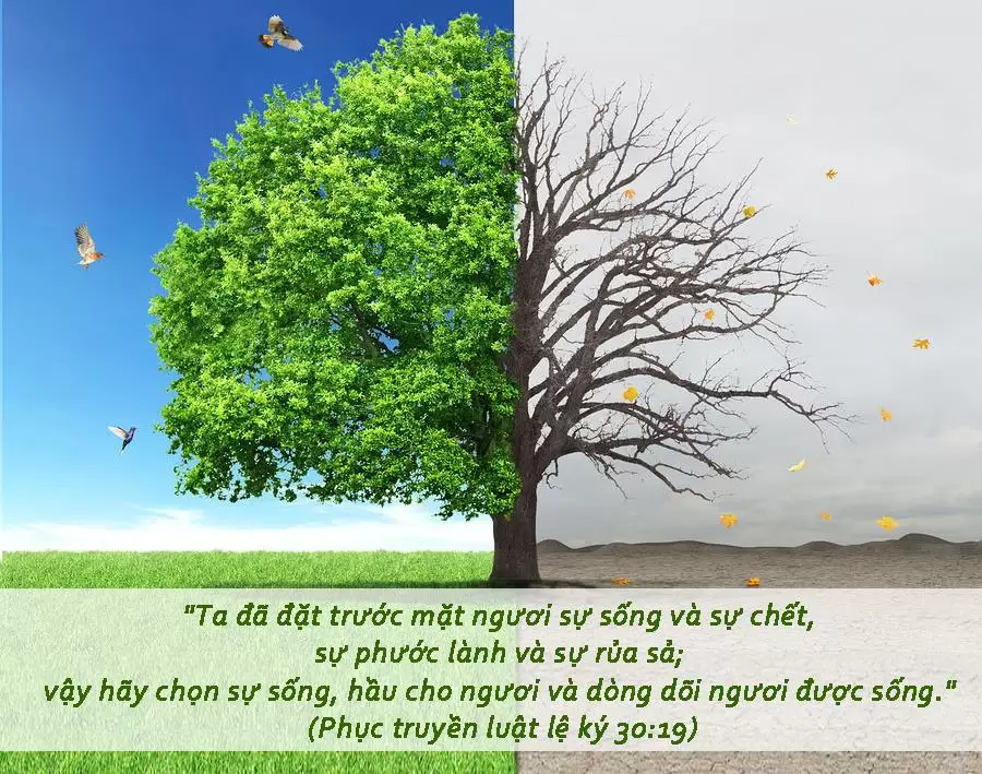 Ngày 21: Cầu Nguyện Cho Con Tránh Khỏi Game Và Tệ Nạn Xã Hội