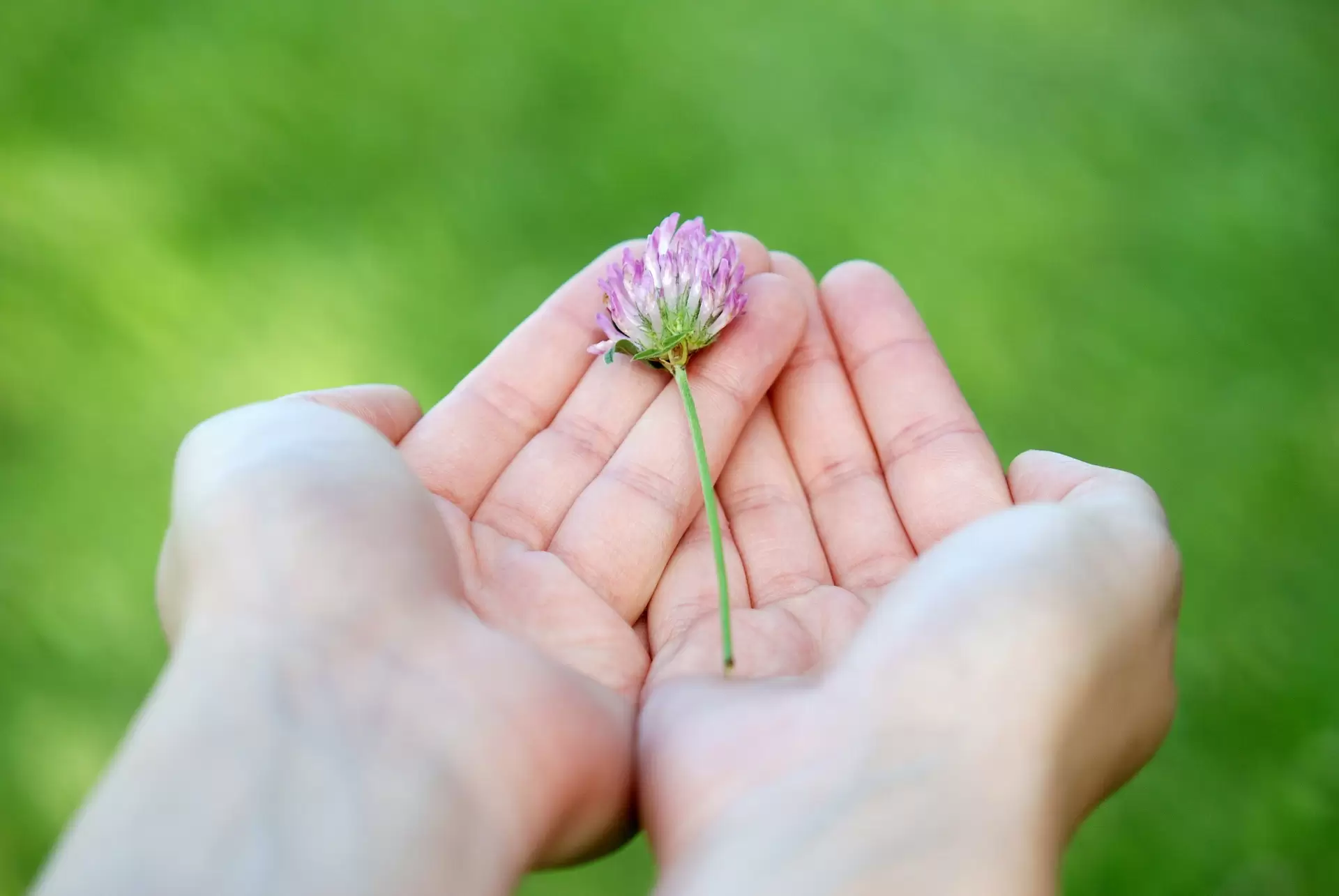 THÔNG BÁO TÀI TRỢ GIẢM LỆ PHÍ CHO NGƯỜI Ở VIỆT NAM CÓ HOÀN CẢNH KHÓ KHĂN ĐI HỘI ĐỒNG PHỤC HƯNG 2019 BATAM - INDONESIA