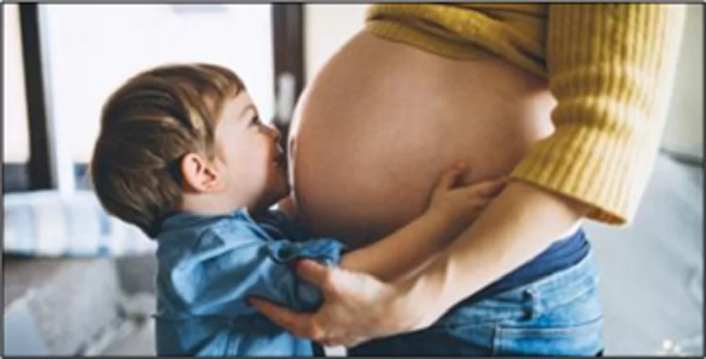 Bảo Vệ Mầm Sống Việt Nam
