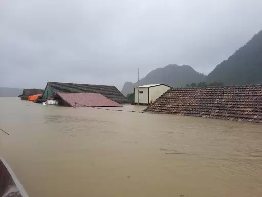 Trong Cơn Hoạn Nạn!