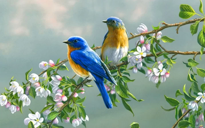 Lòng Con Cứ Tưởng Thiên Đàng Gần Đây