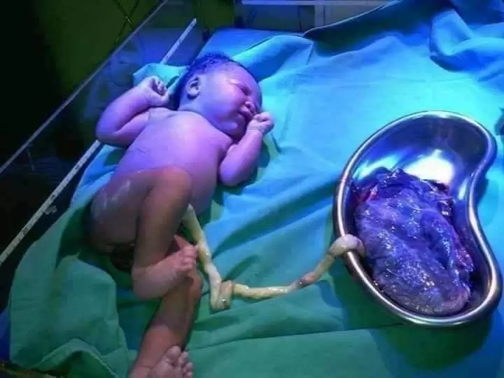 Phụ Nữ - Những Người Ban Sự Sống